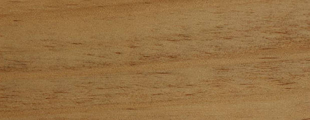 Radiata Pine Holz Profil