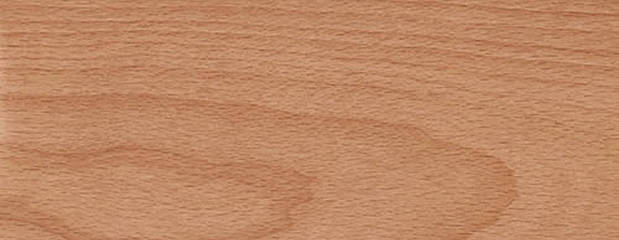 Rotbuche Holz Profil