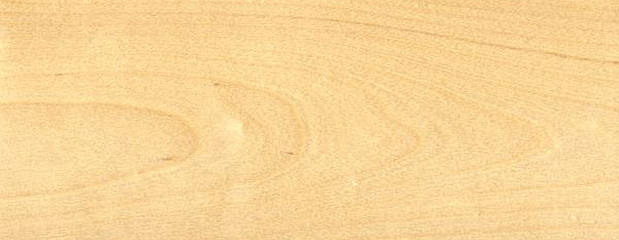 Birken Holz Profil