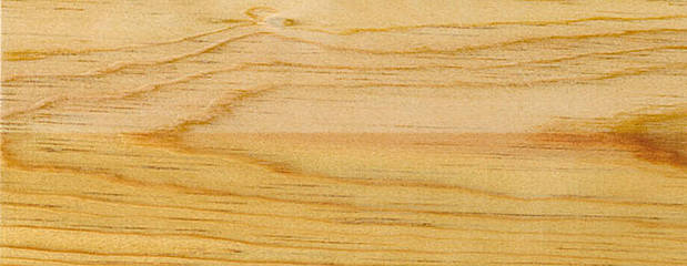 Pitch Pine Holz Profil