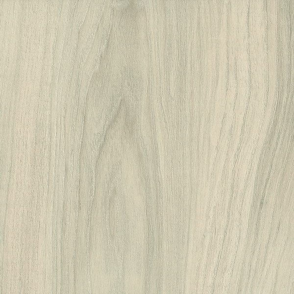 H3760 ST29 Cape Elm weiss