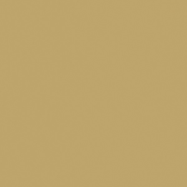 F571 ST2 Metallic gold