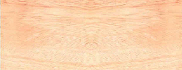 Canarium Holz Canarium Holz Profil