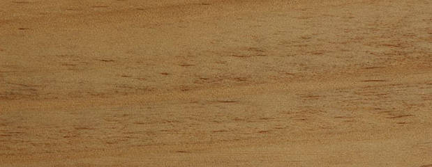 Radiata Pine Holz Radiata Pine Holz Profil