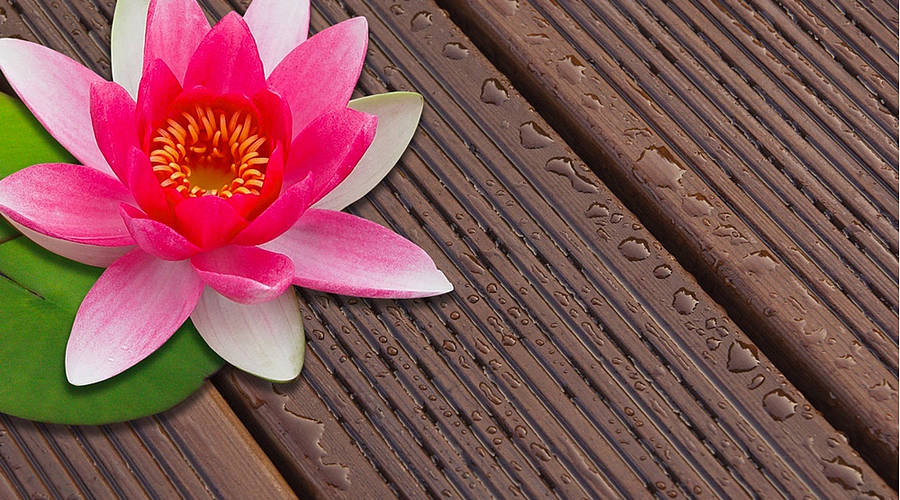 Ambietenbild Scheerer Terrassendielen