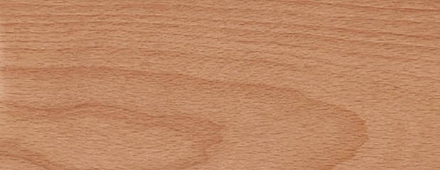 Rotbuche Holz Rotbuche Holz Profil