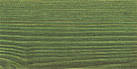 Produktbild 9242 Tannengrün