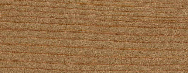 Sitka Holz Sitka Holz Profil