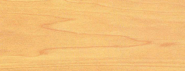 Amerikanische Pappel Holz Profil