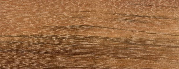 Goncalo Alves Holz Goncalo Alves Holz Profil