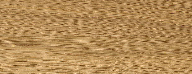 Eichen-Holz (Eiche bzw. Roteiche) Eichen-Holz-Profil (Eiche bzw. Roteiche)