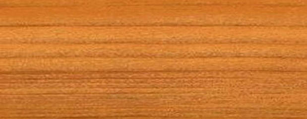 Brasilkiefern Holz Brasilkiefern Holz Profil