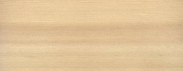 Hemlock Holz Hemlock Holz Profil