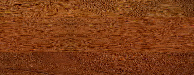 Bilinga Holz Profil