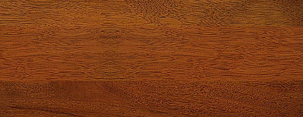 Bilinga Holz Bilinga Holz Profil