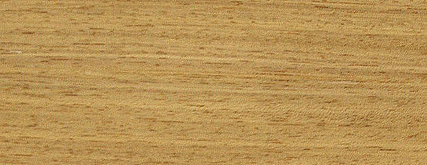 Iroko Holz Iroko Holz Profil