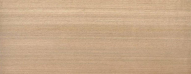 Coigue Holz Coigue Holz Profil
